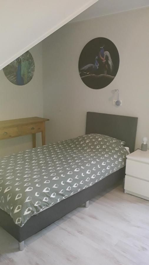 הוילה Breezand Groot Familiehuis Voor 6 Personen In Landelijke, Rustige Omgeving מראה חיצוני תמונה